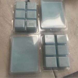 4 pack Grapefruit Vetiver Wax Warmer